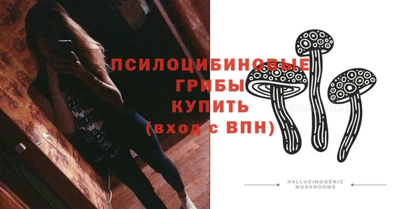 марки nbome Гусев