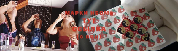 ешки Гусь-Хрустальный