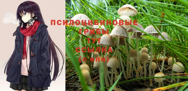 ешки Гусь-Хрустальный